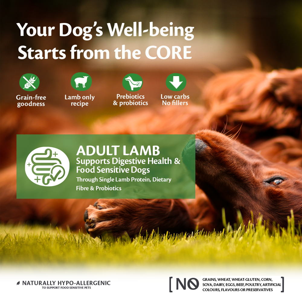 Wellness core hot sale rawrev lamb